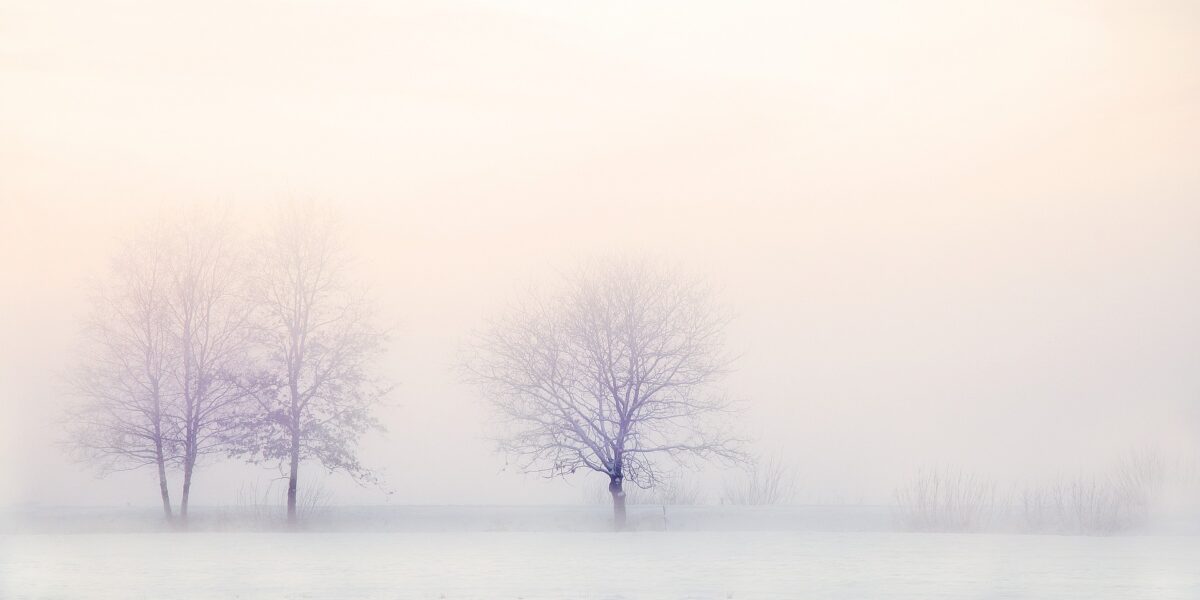 winter-landscape