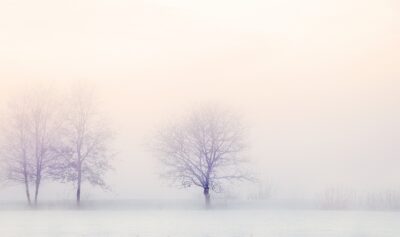winter-landscape